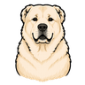 ProSvaneti — dog mark