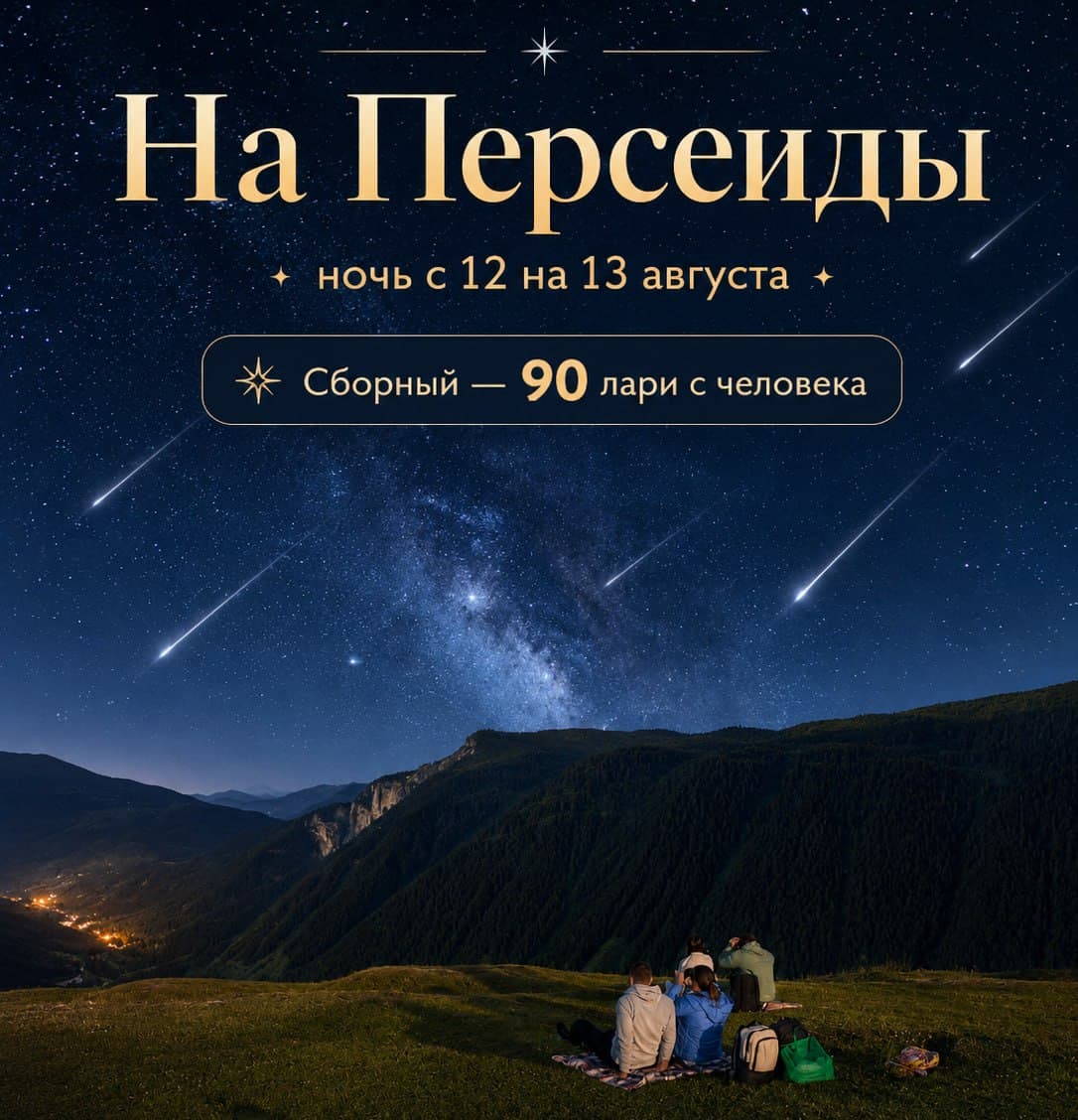 Perseids Meteor Shower Night Trip